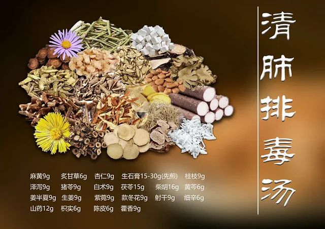 青岛推广使用清肺排毒汤抗疫，好评如潮